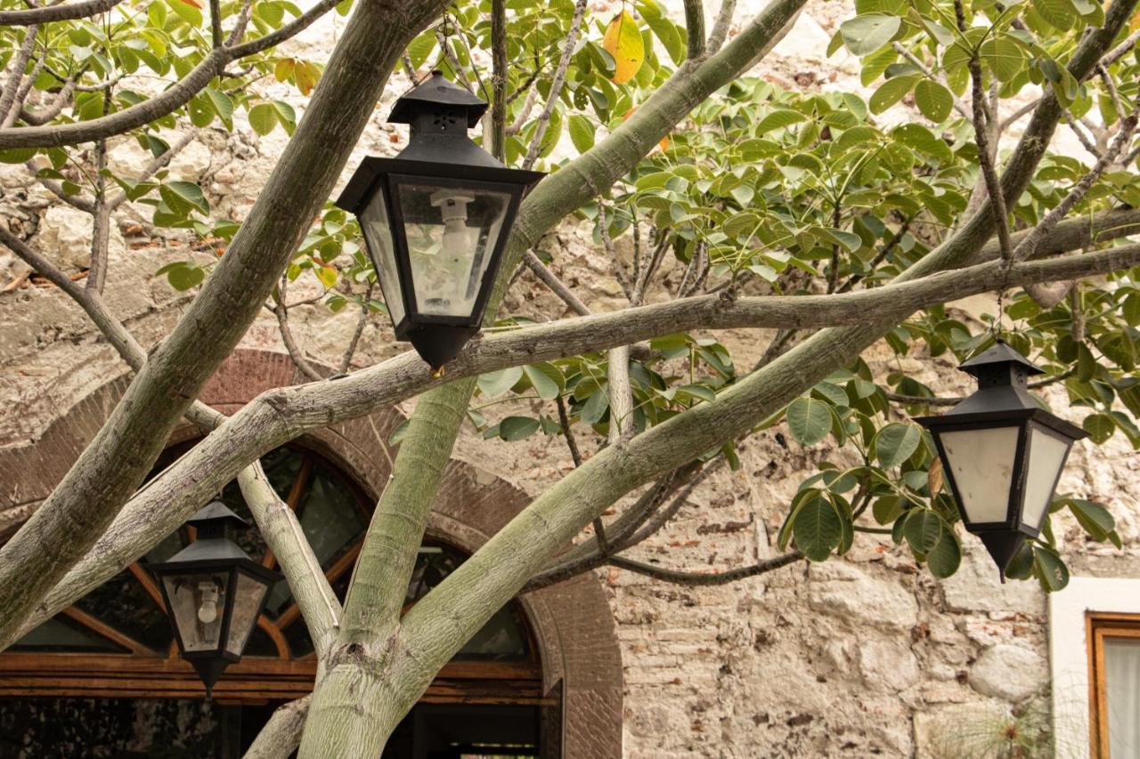 Orchid House San Miguel De Allende Esterno foto