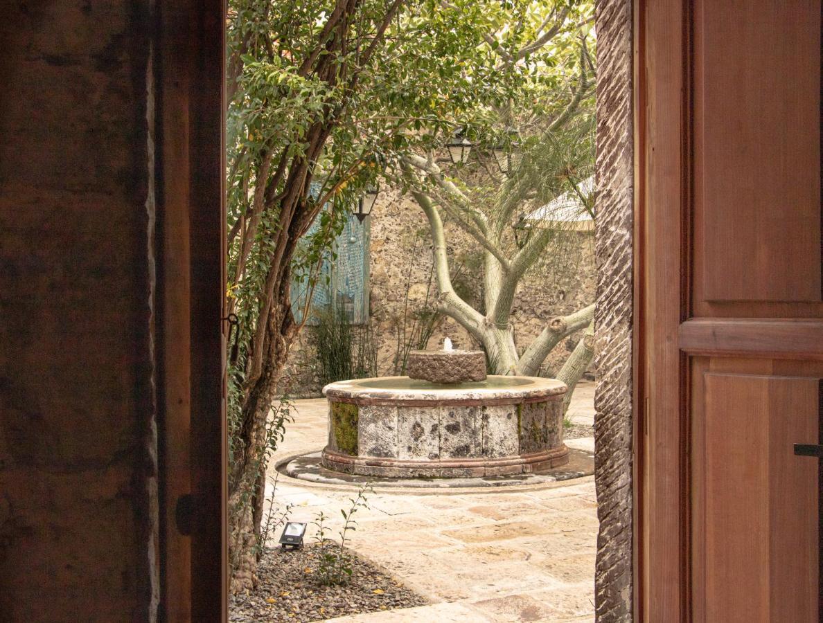 Orchid House San Miguel De Allende Esterno foto