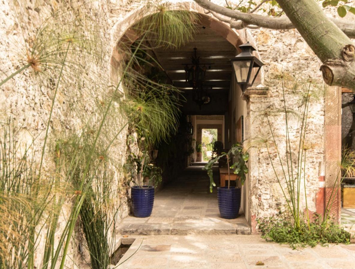 Orchid House San Miguel De Allende Esterno foto