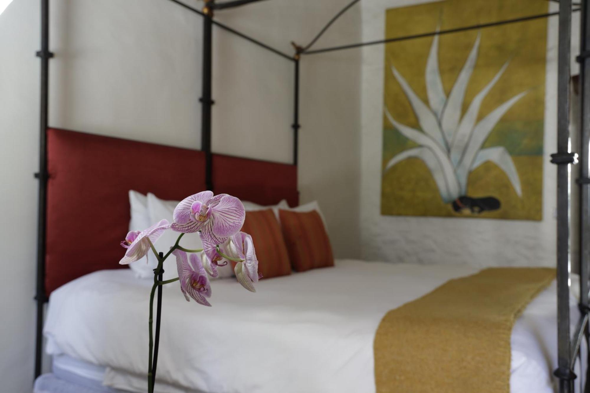 Orchid House San Miguel De Allende Esterno foto