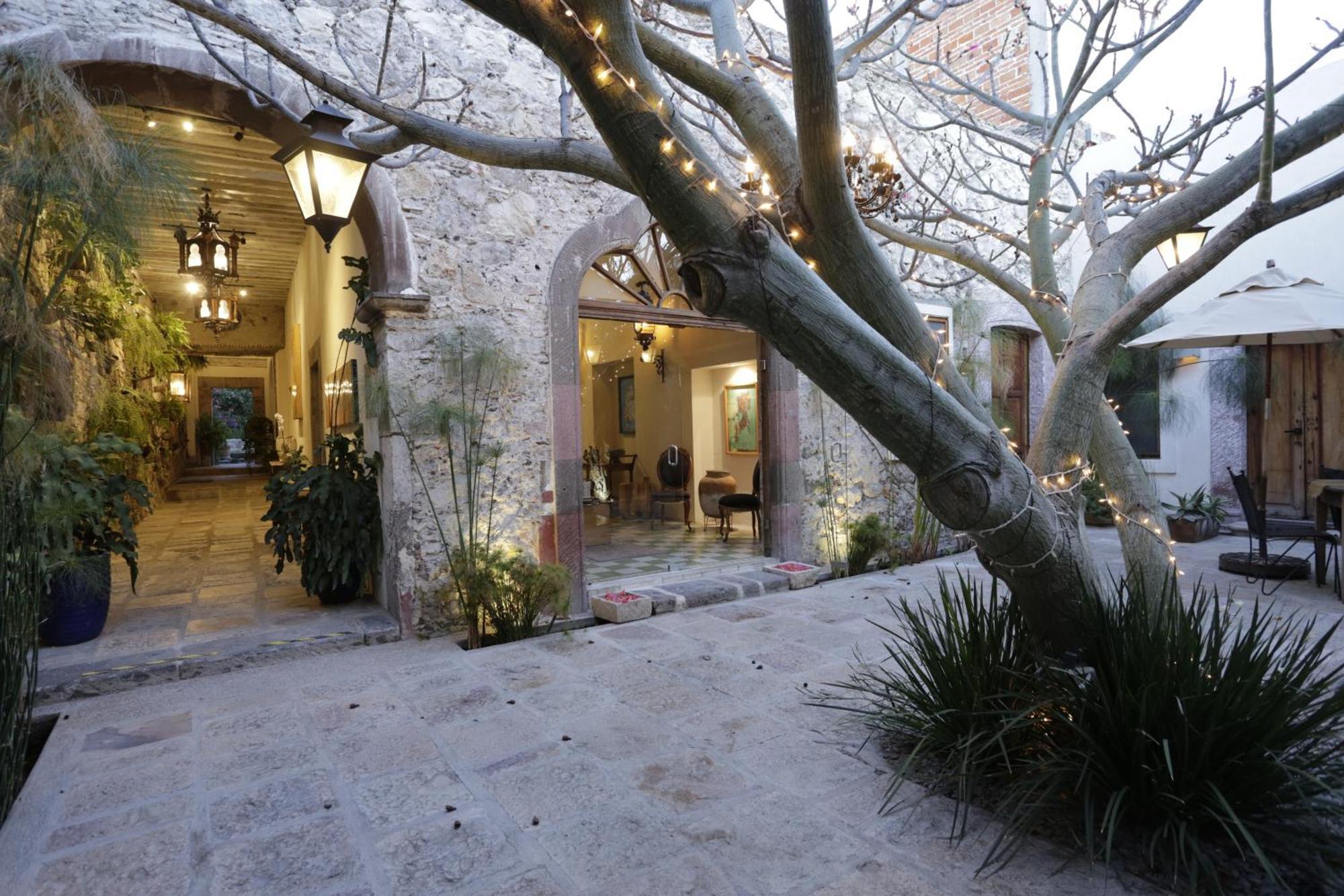 Orchid House San Miguel De Allende Esterno foto