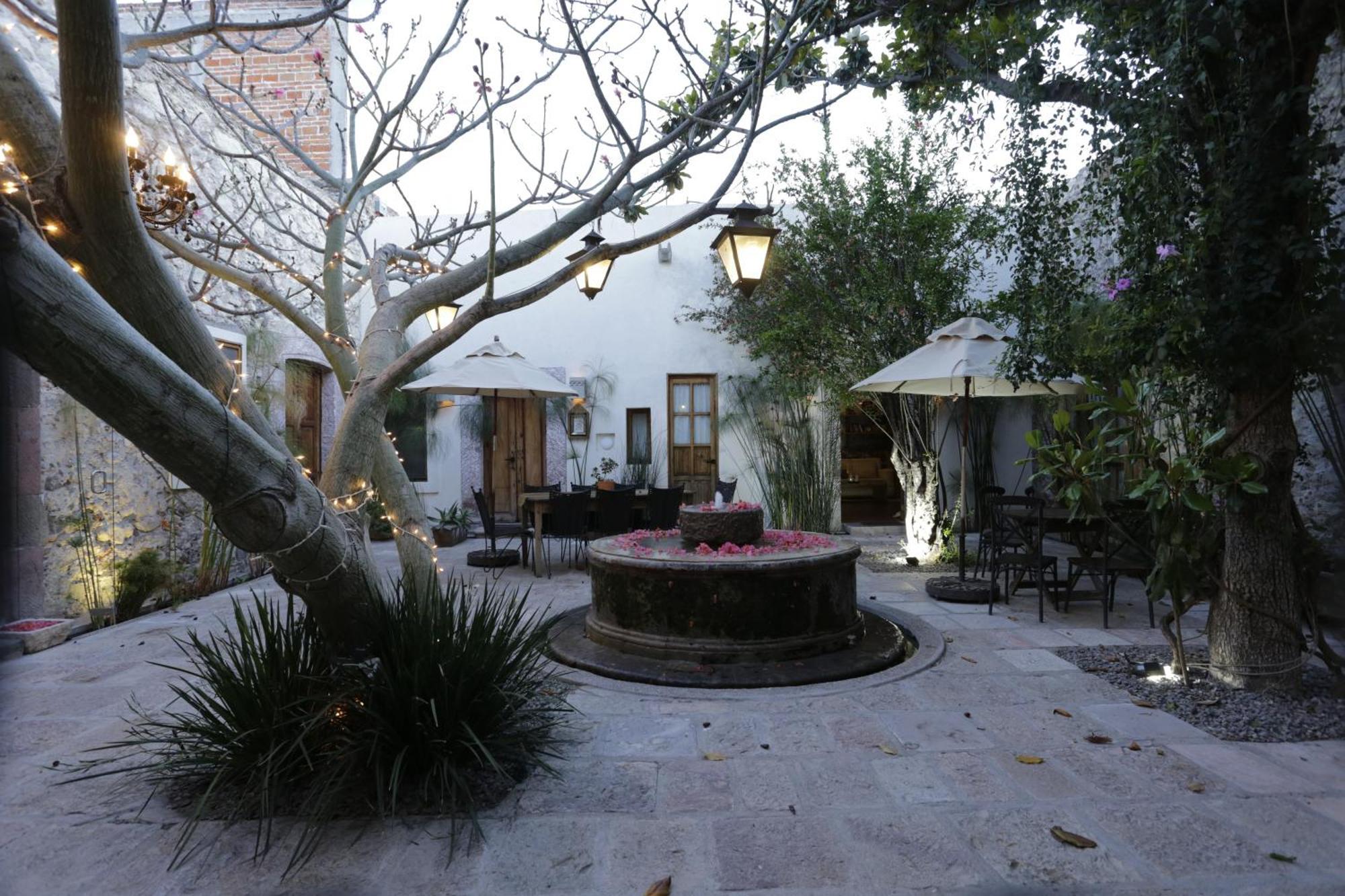 Orchid House San Miguel De Allende Esterno foto