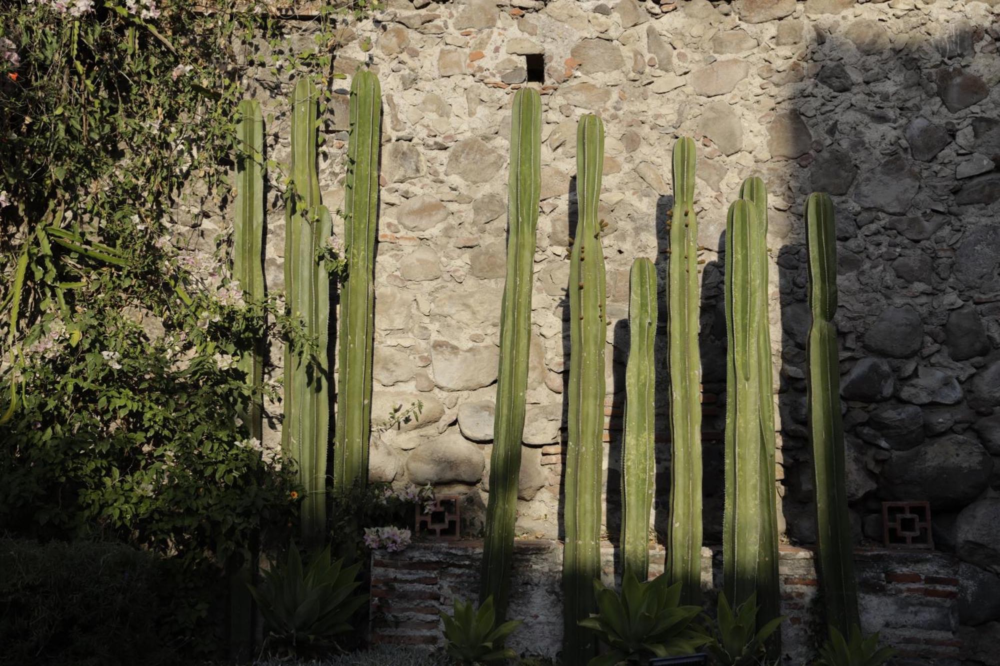 Orchid House San Miguel De Allende Esterno foto