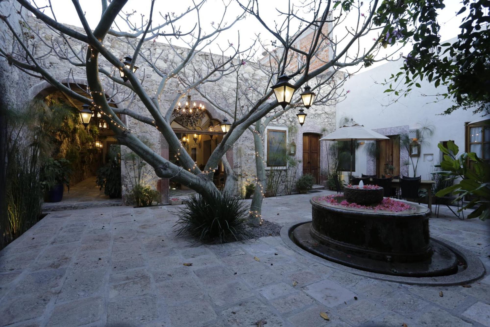 Orchid House San Miguel De Allende Esterno foto