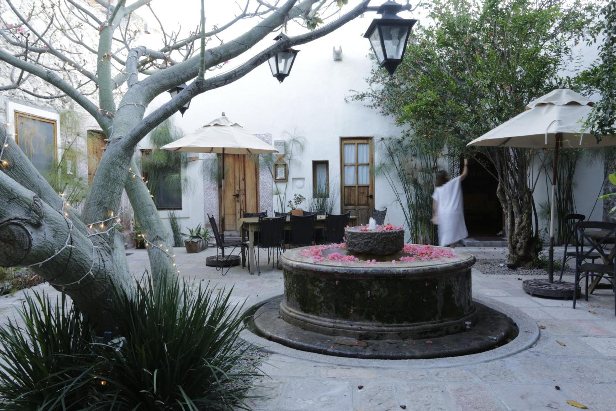 Orchid House San Miguel De Allende Esterno foto