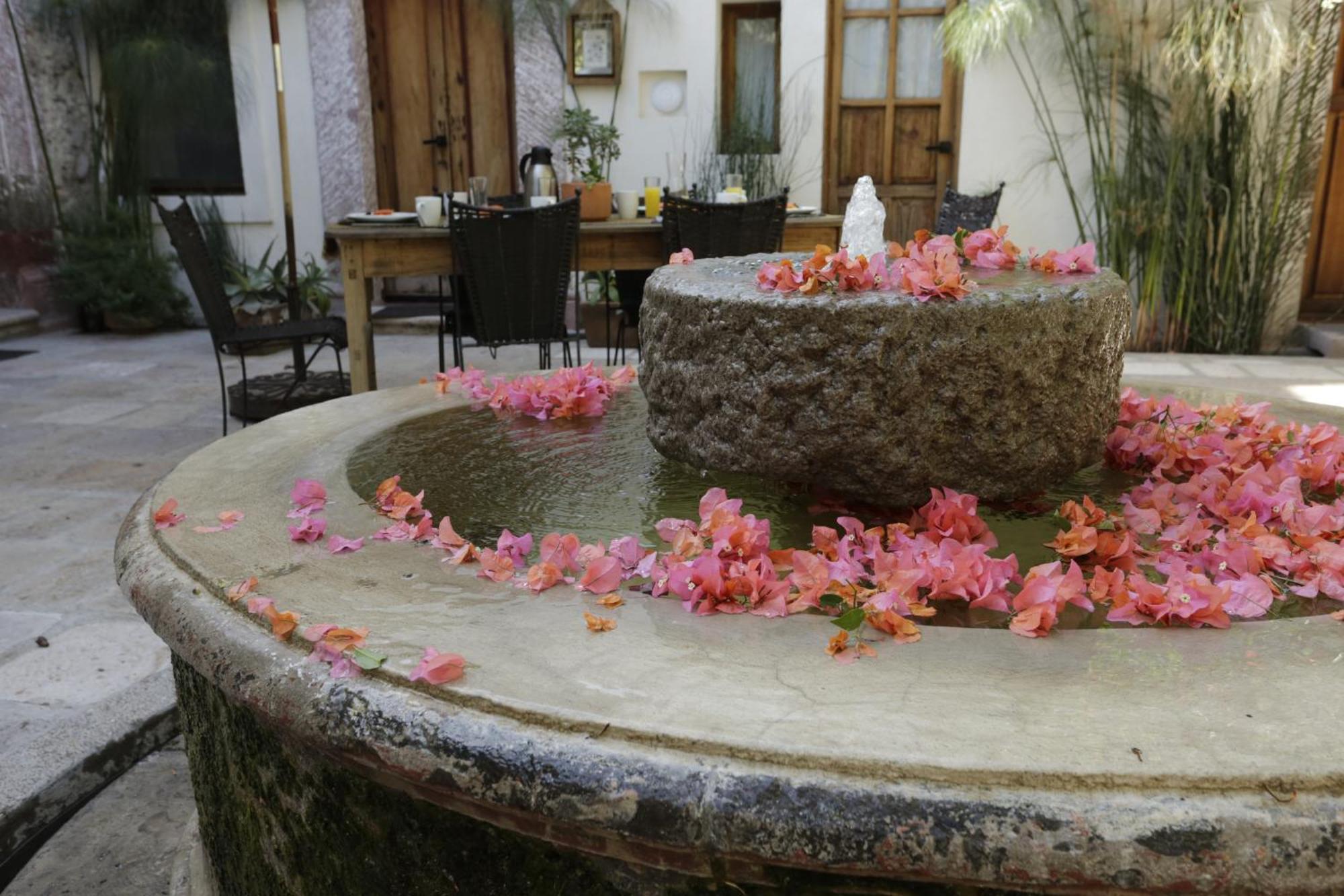 Orchid House San Miguel De Allende Esterno foto