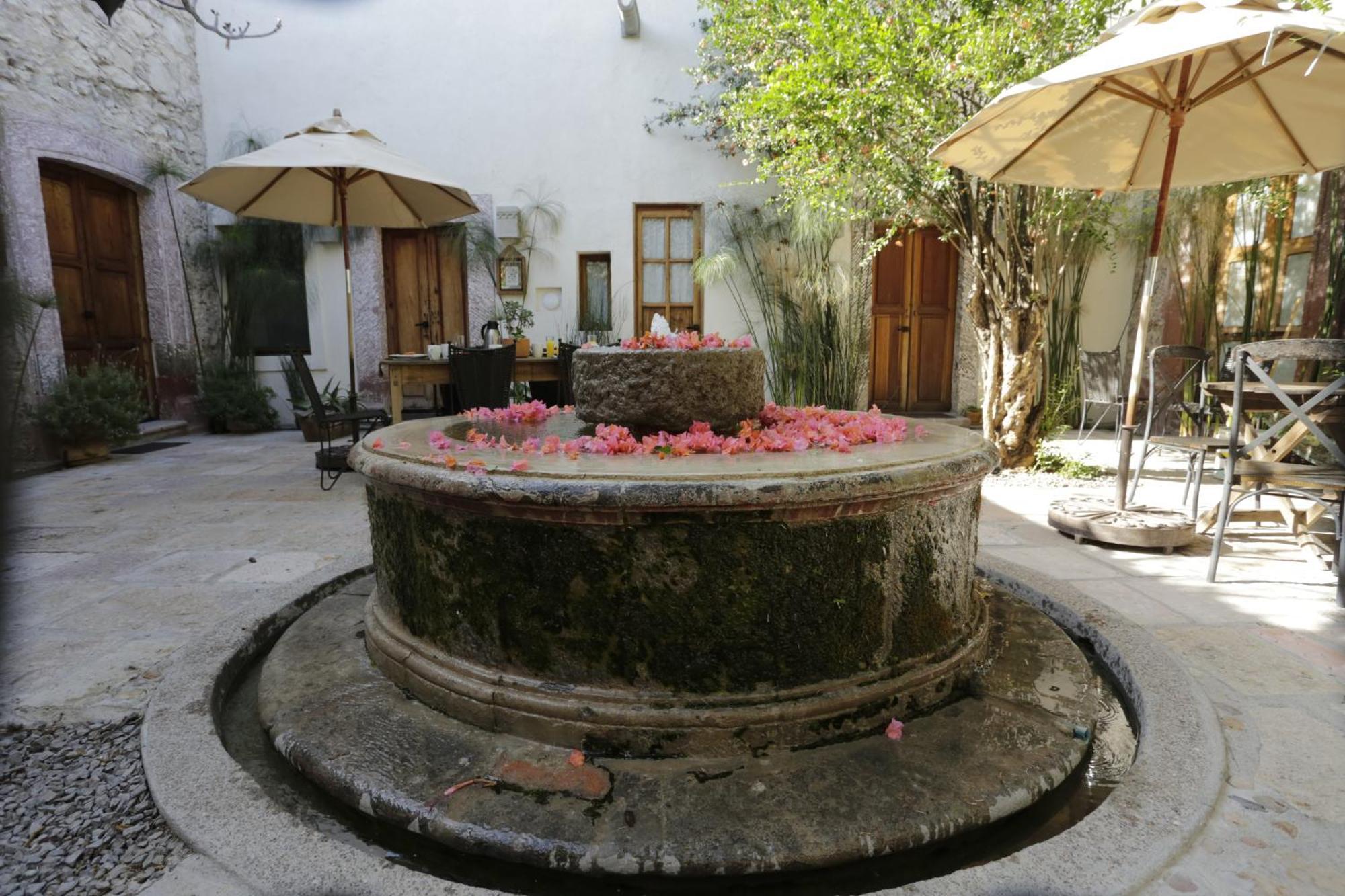 Orchid House San Miguel De Allende Esterno foto