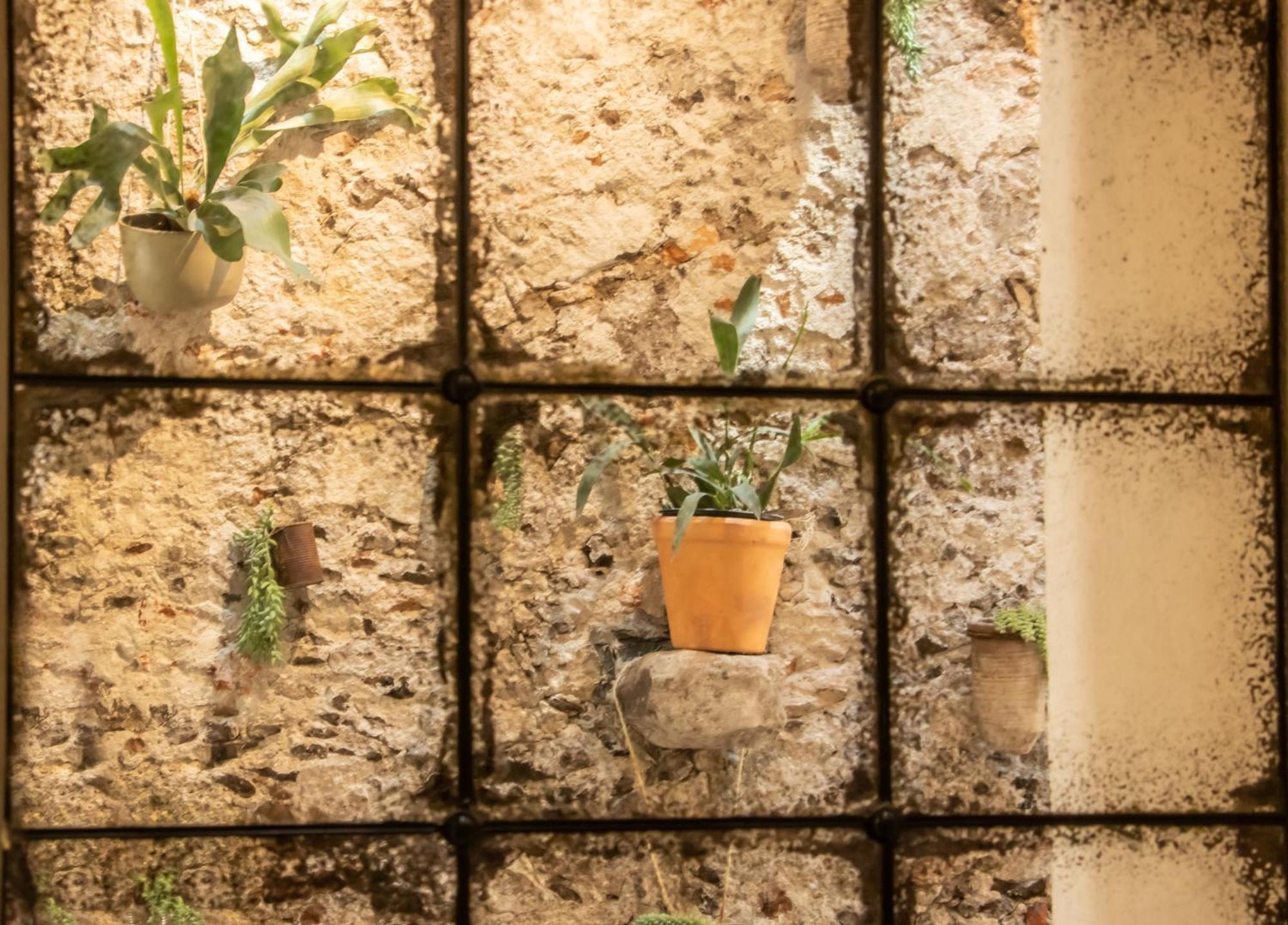 Orchid House San Miguel De Allende Esterno foto