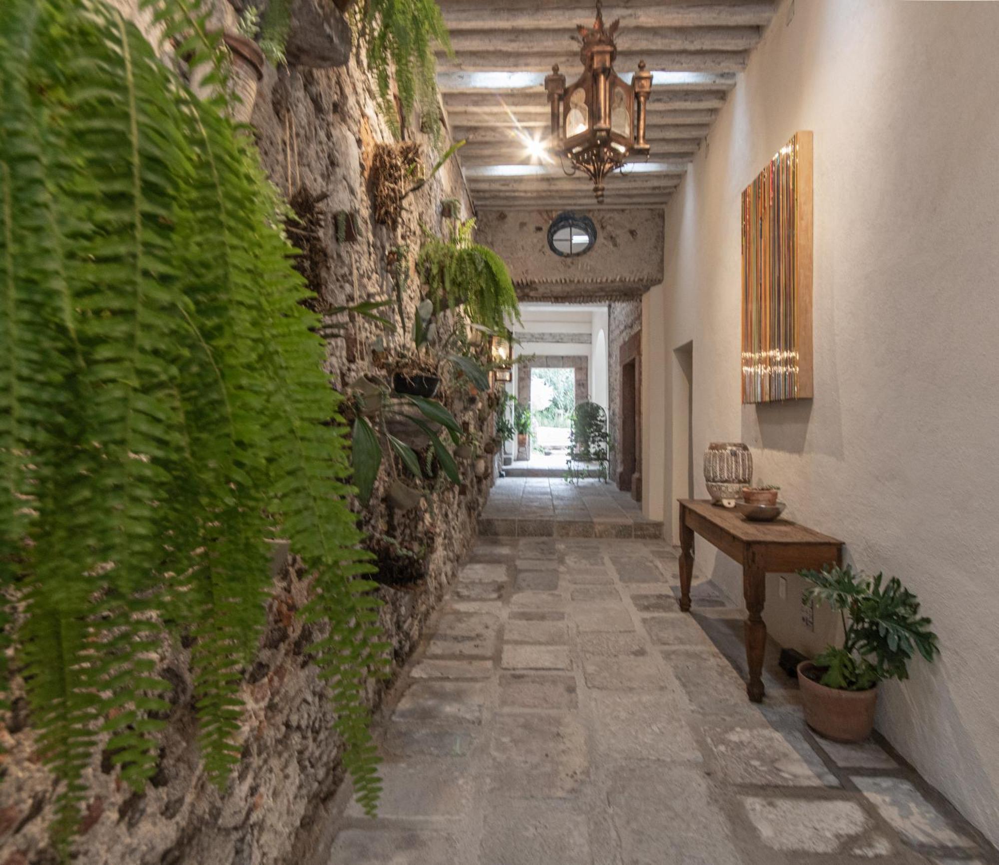 Orchid House San Miguel De Allende Esterno foto